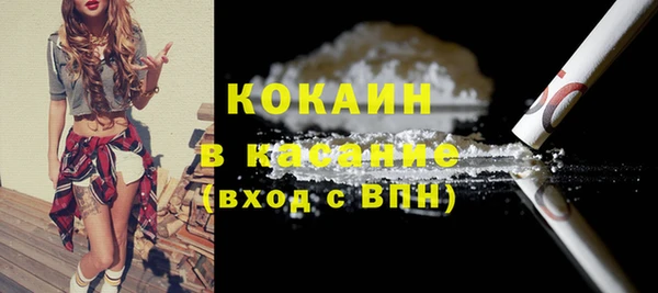 твердый Алексин