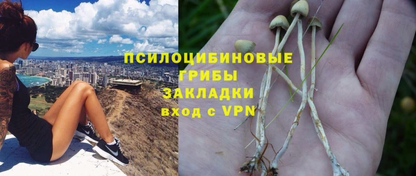 мдпв Алзамай