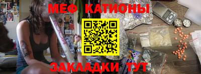 индика Кингисепп