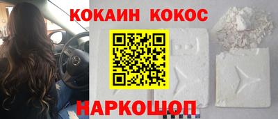 индика Кингисепп