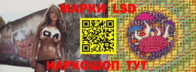 индика Кингисепп