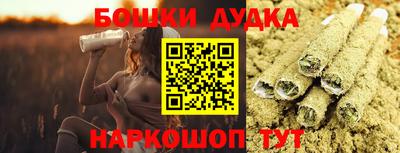 индика Кингисепп