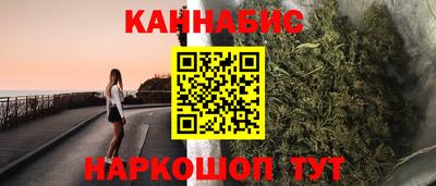 индика Кингисепп