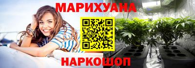 индика Кингисепп