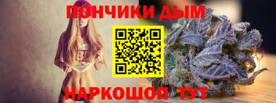индика Кингисепп