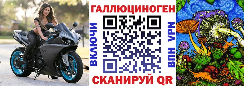 продажа наркотиков  Котельники  Галлюциногенные грибы прущие грибы 