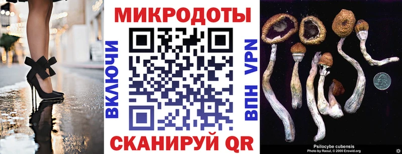 Галлюциногенные грибы Psilocybe Котельники