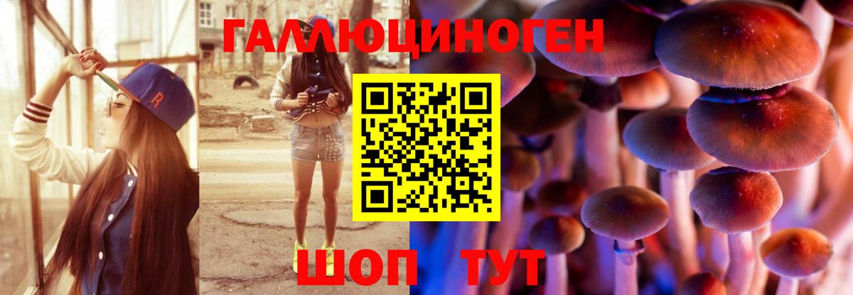 Котельники  Псилоцибиновые грибы Magic Shrooms  Вход с VPN  Псилоцибиновые грибы мицелий 
